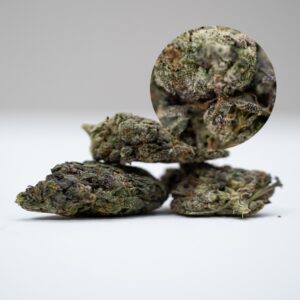 Alien Cookies #2