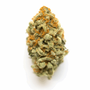 Orange Glue