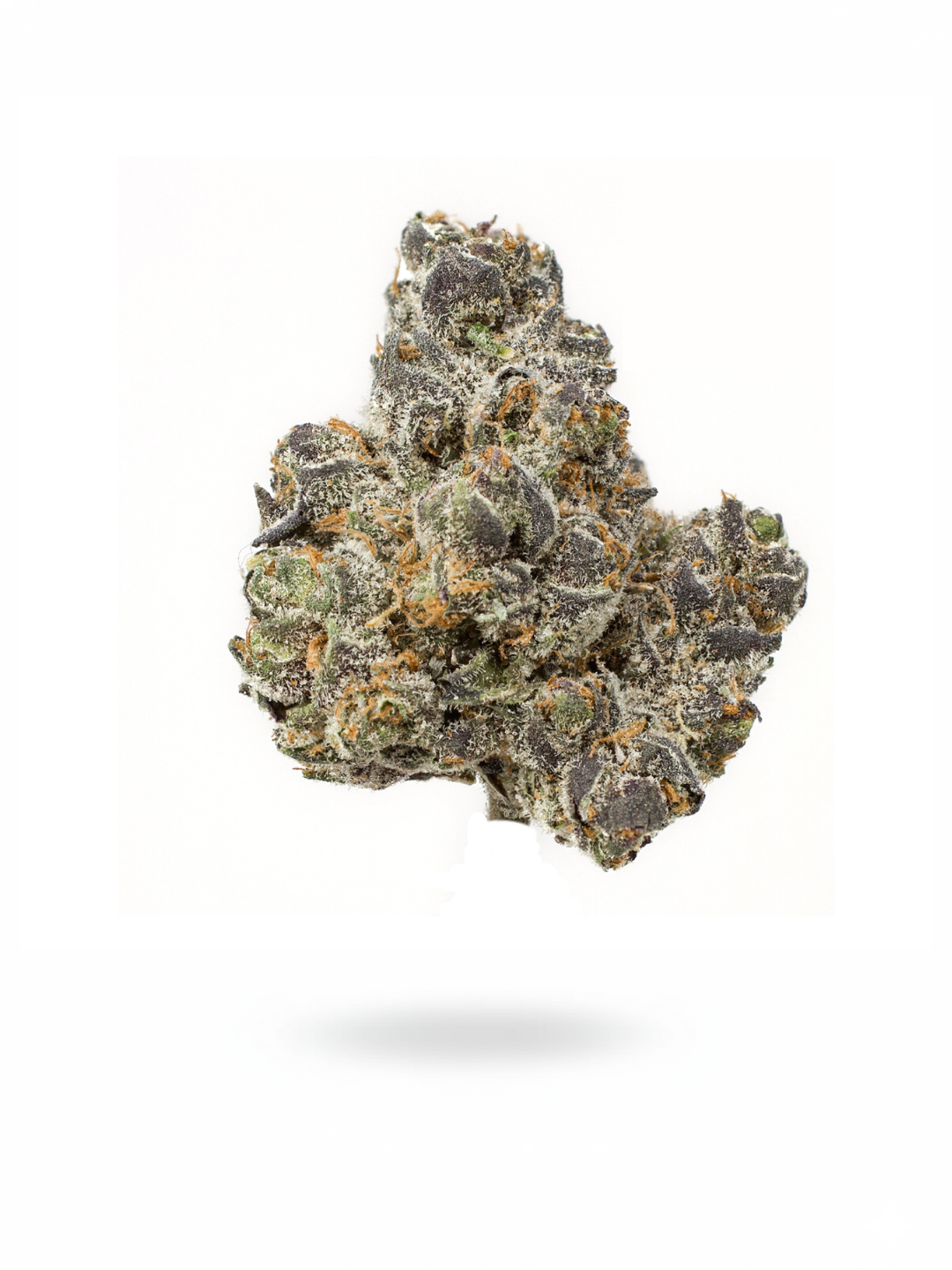 Apple Fritter